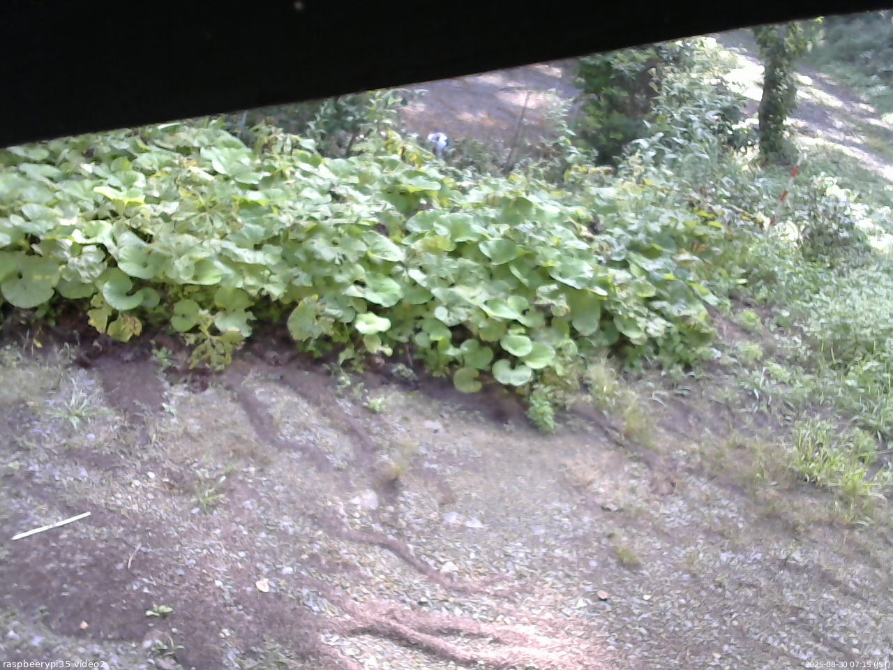 長野県菅平高原 ゆたか山荘 駐車場 2025/08/30 07:15