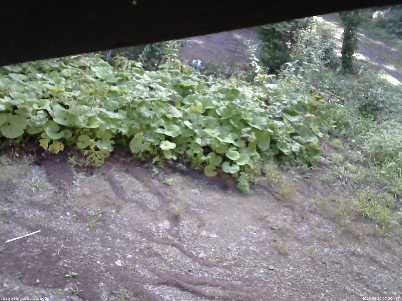 長野県菅平高原 ゆたか山荘 駐車場 2025/08/30 07:30
