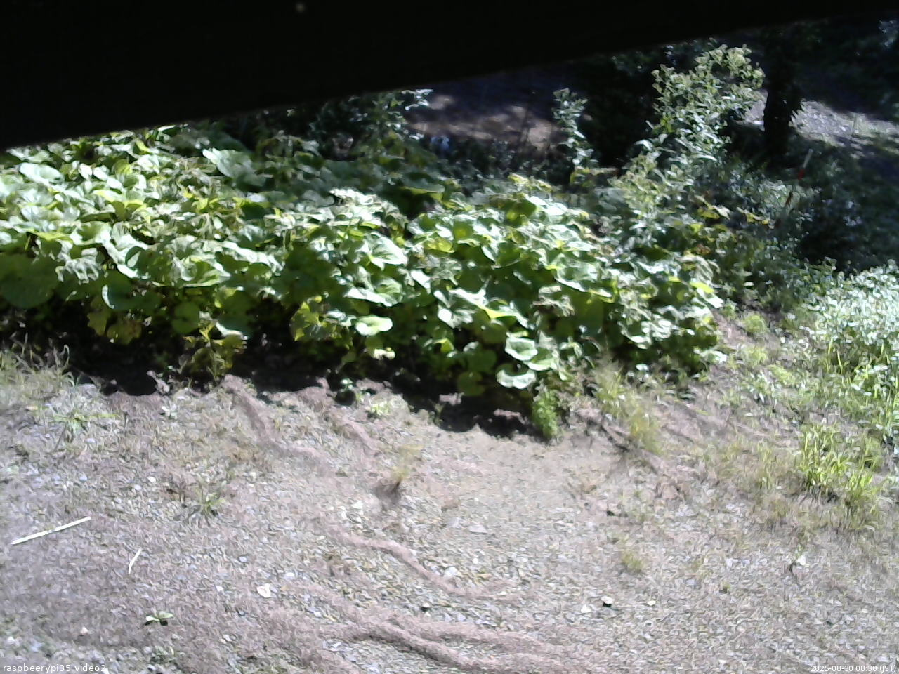 長野県菅平高原 ゆたか山荘 駐車場 2025/08/30 08:30