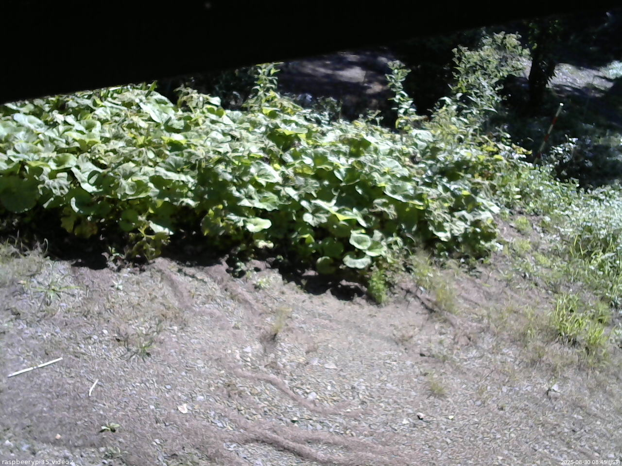 長野県菅平高原 ゆたか山荘 駐車場 2025/08/30 08:45