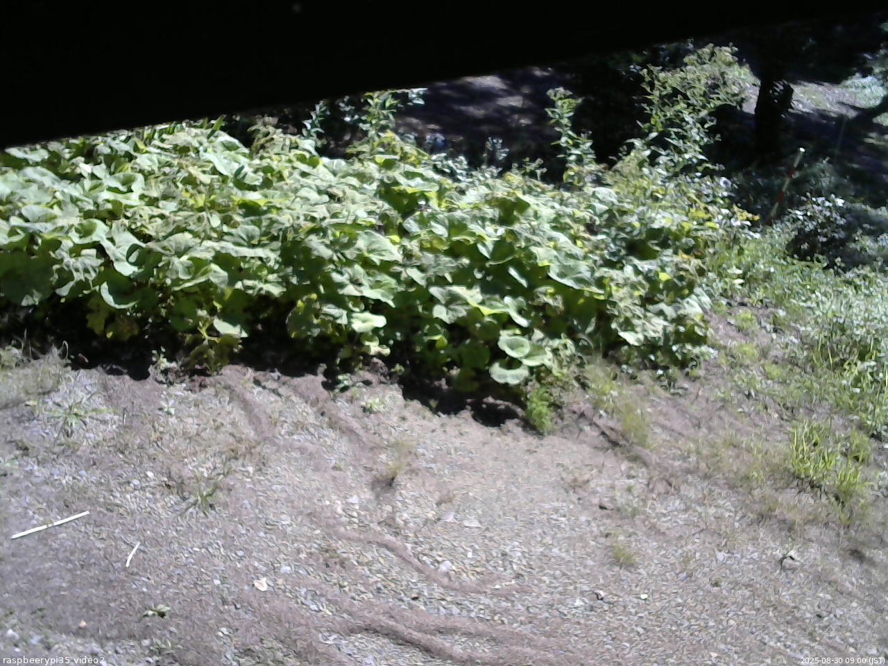 長野県菅平高原 ゆたか山荘 駐車場 2025/08/30 09:00