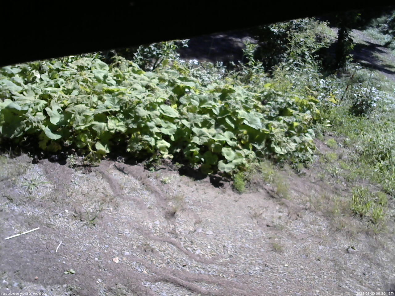 長野県菅平高原 ゆたか山荘 駐車場 2025/08/30 09:30