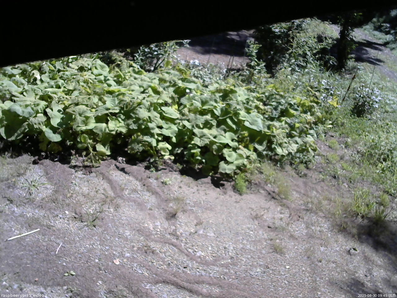 長野県菅平高原 ゆたか山荘 駐車場 2025/08/30 09:45