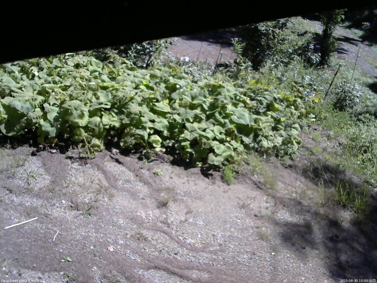 長野県菅平高原 ゆたか山荘 駐車場 2025/08/30 10:00