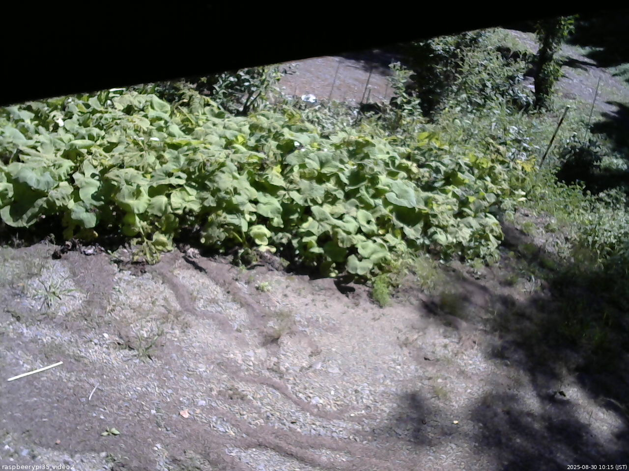 長野県菅平高原 ゆたか山荘 駐車場 2025/08/30 10:15