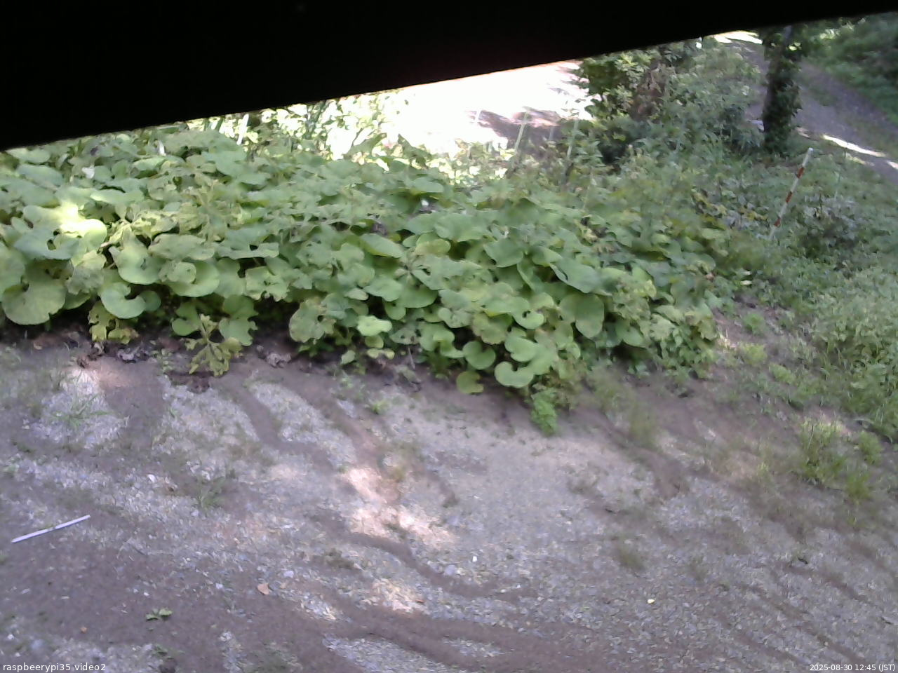 長野県菅平高原 ゆたか山荘 駐車場 2025/08/30 12:45
