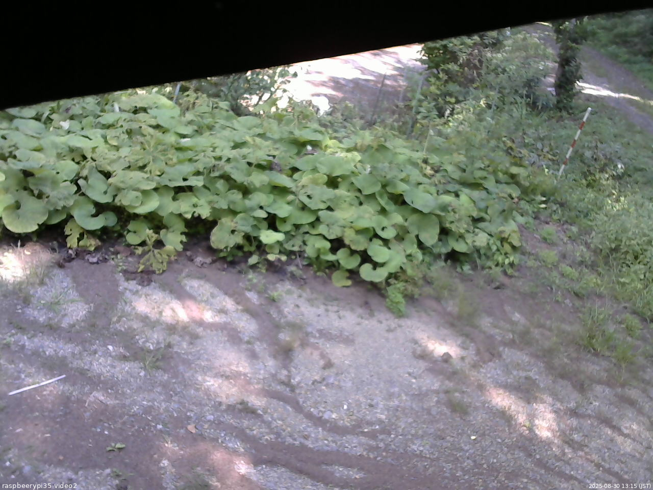 長野県菅平高原 ゆたか山荘 駐車場 2025/08/30 13:15