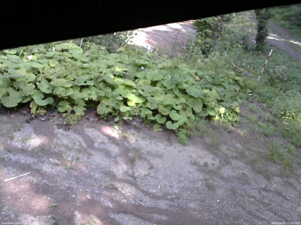 長野県菅平高原 ゆたか山荘 駐車場 2025/08/30 13:30