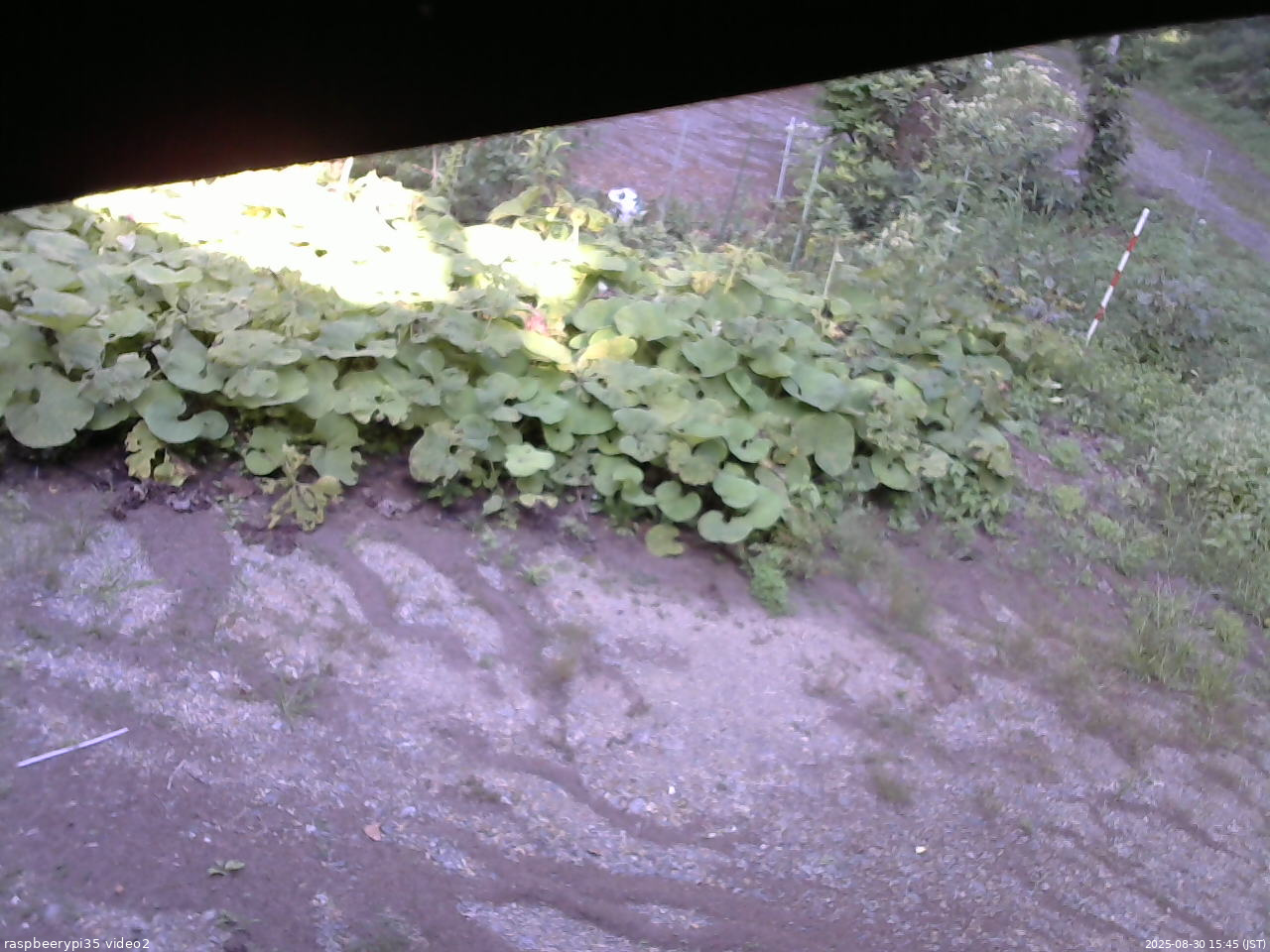 長野県菅平高原 ゆたか山荘 駐車場 2025/08/30 15:45