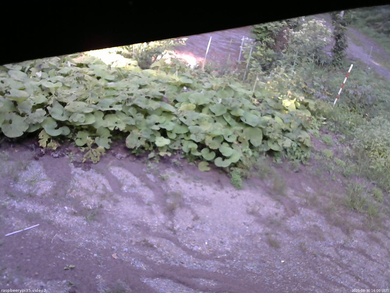 長野県菅平高原 ゆたか山荘 駐車場 2025/08/30 16:00