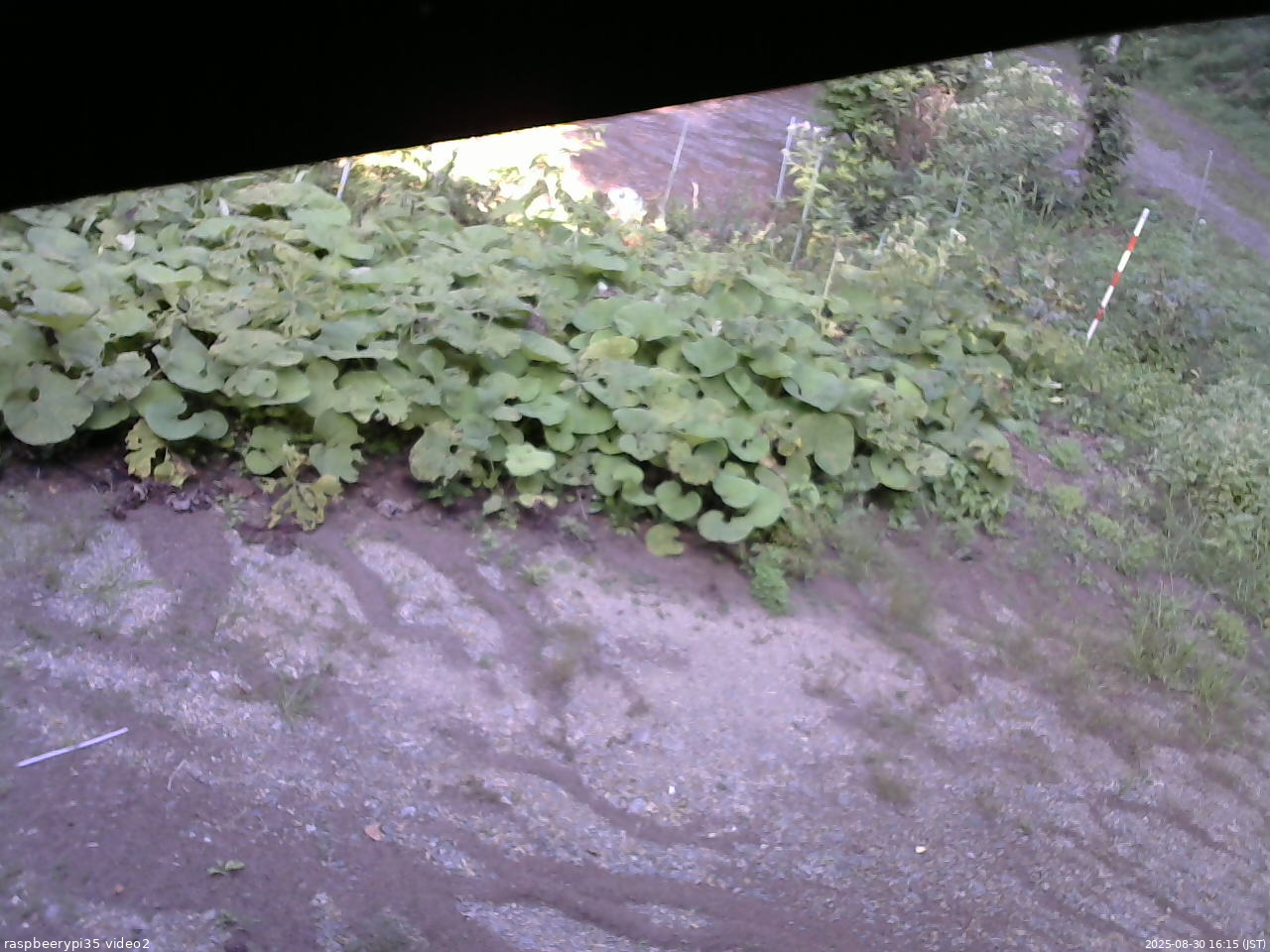 長野県菅平高原 ゆたか山荘 駐車場 2025/08/30 16:15