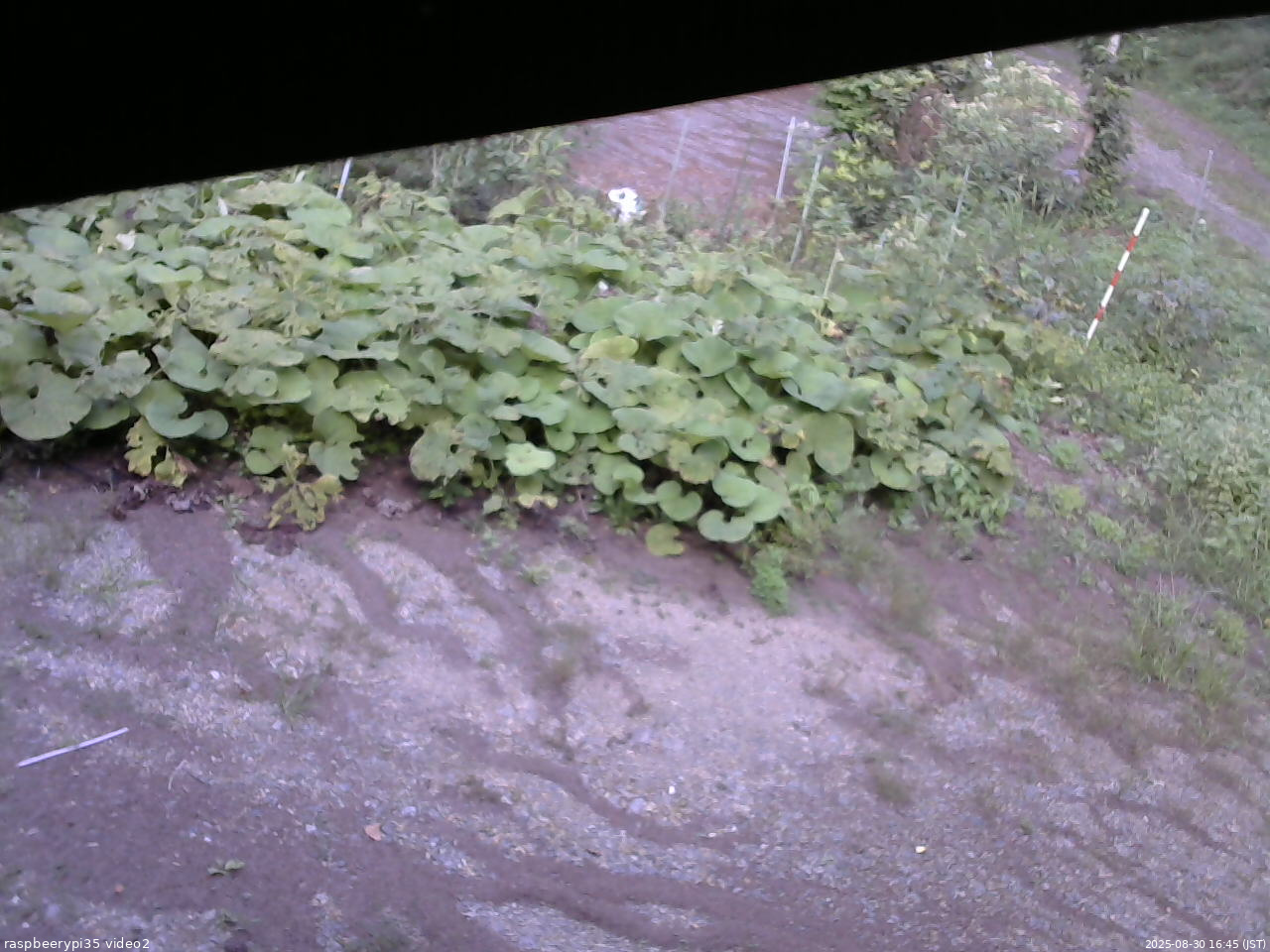 長野県菅平高原 ゆたか山荘 駐車場 2025/08/30 16:45
