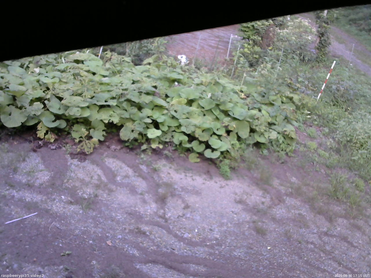 長野県菅平高原 ゆたか山荘 駐車場 2025/08/30 17:15