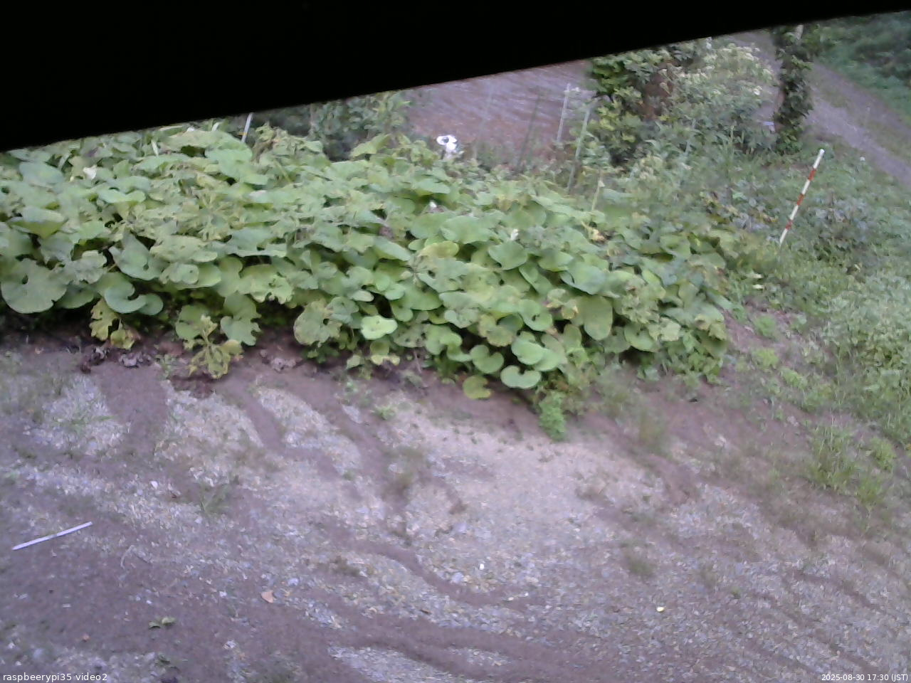 長野県菅平高原 ゆたか山荘 駐車場 2025/08/30 17:30
