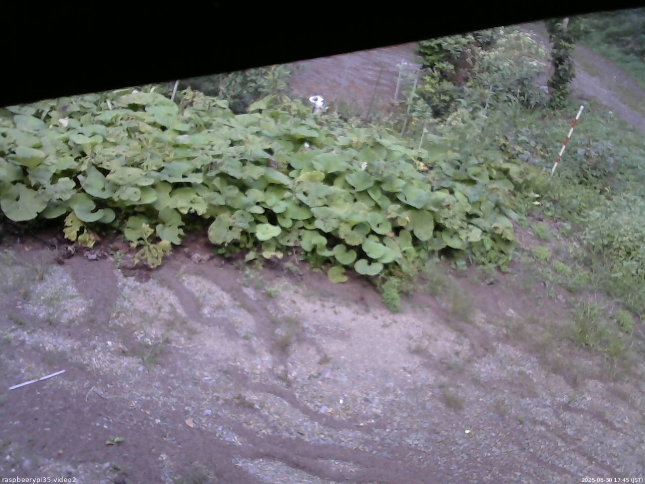 長野県菅平高原 ゆたか山荘 駐車場 2025/08/30 17:45