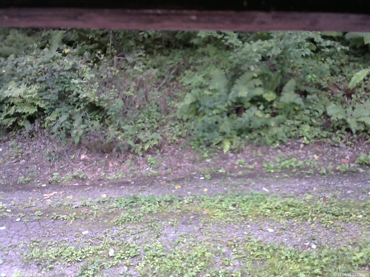 長野県菅平高原 ゆたか山荘 南側 2025/08/31 11:15