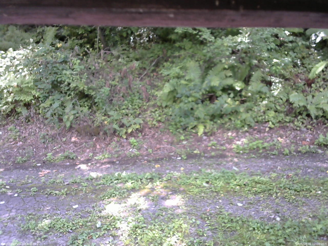 長野県菅平高原 ゆたか山荘 南側 2025/08/31 12:00