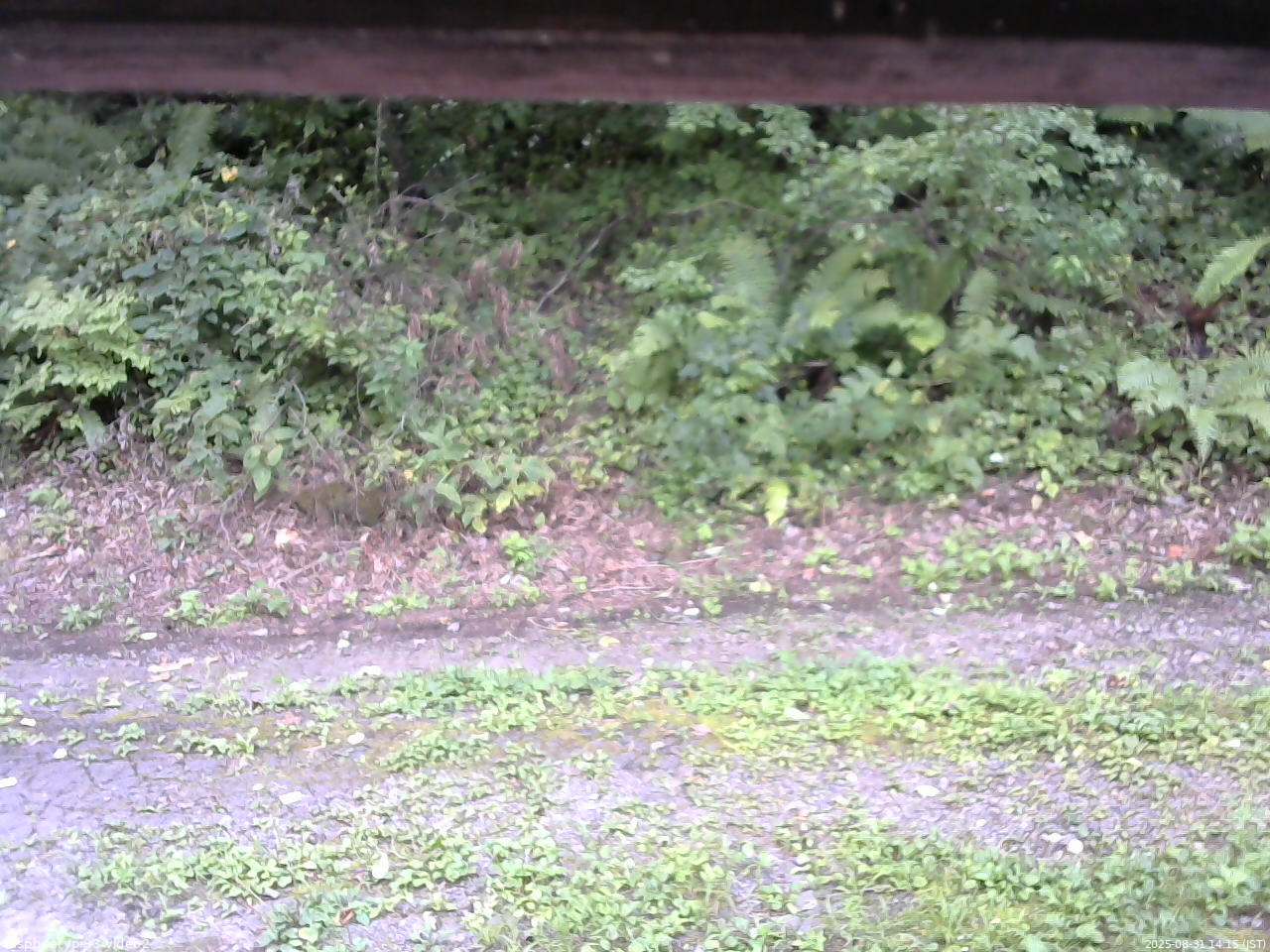 長野県菅平高原 ゆたか山荘 南側 2025/08/31 14:15