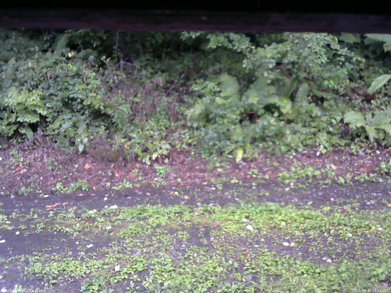 長野県菅平高原 ゆたか山荘 南側 2025/08/31 17:45