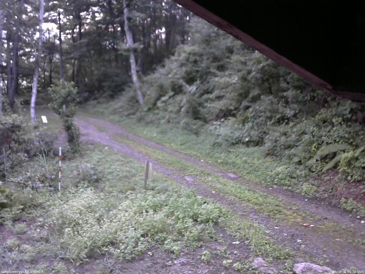 長野県菅平高原 ゆたか山荘 東側(坂下) 2025/08/31 05:30