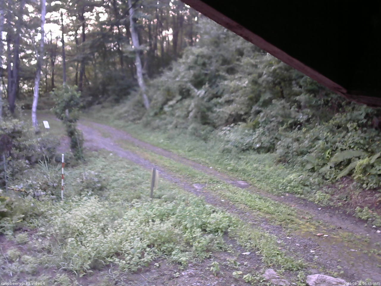 長野県菅平高原 ゆたか山荘 東側(坂下) 2025/08/31 05:45