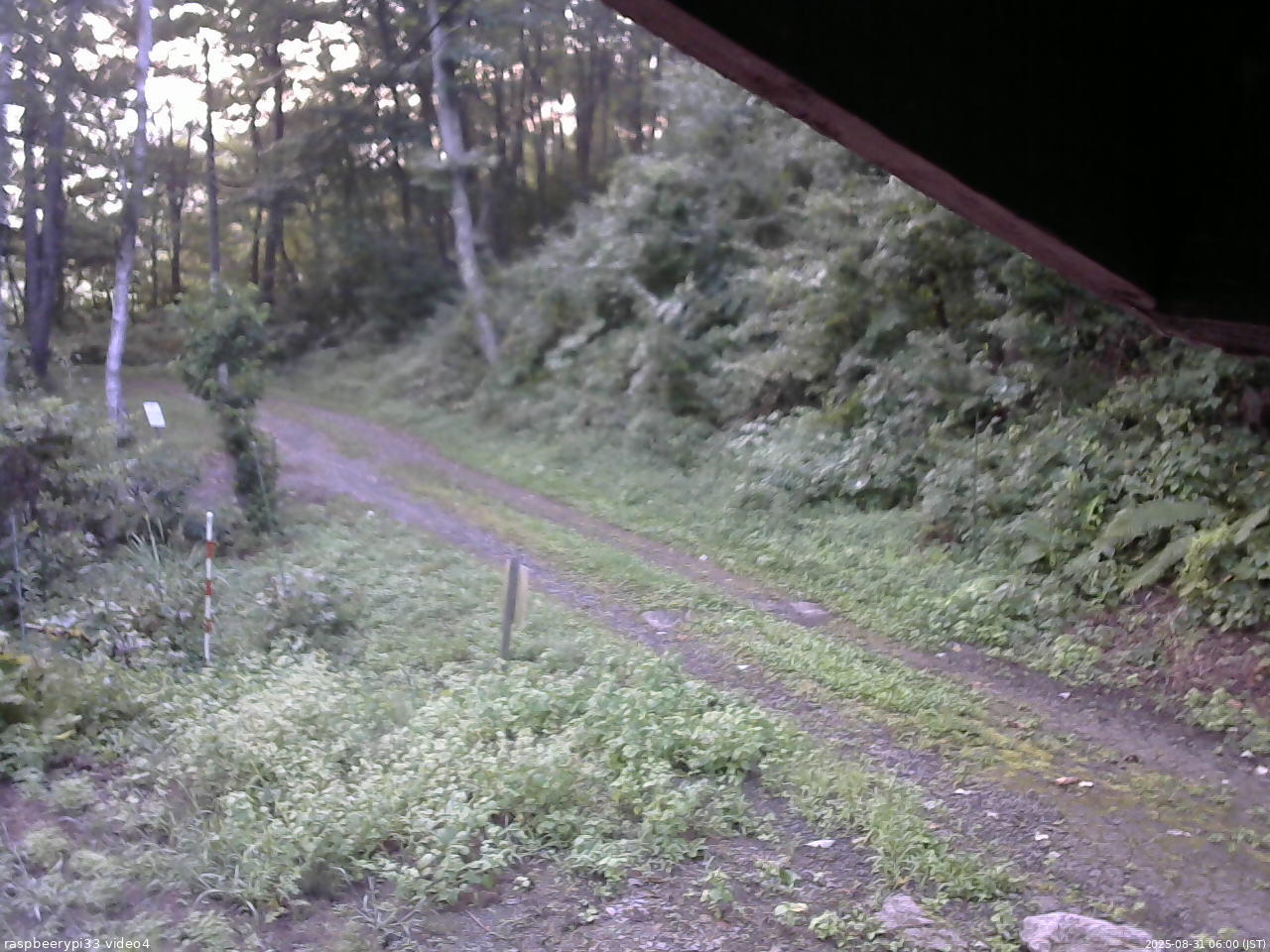 長野県菅平高原 ゆたか山荘 東側(坂下) 2025/08/31 06:00
