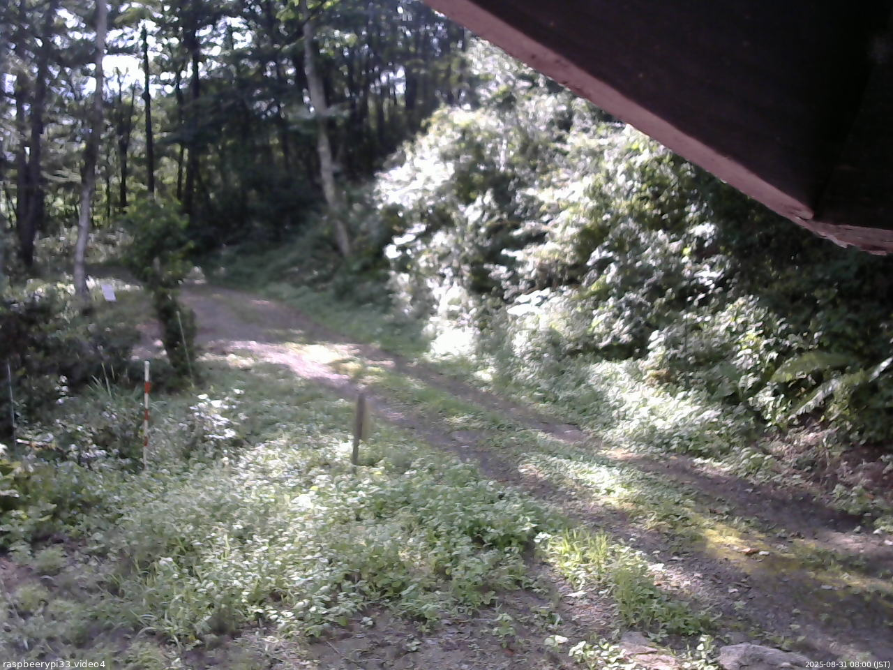長野県菅平高原 ゆたか山荘 東側(坂下) 2025/08/31 08:00