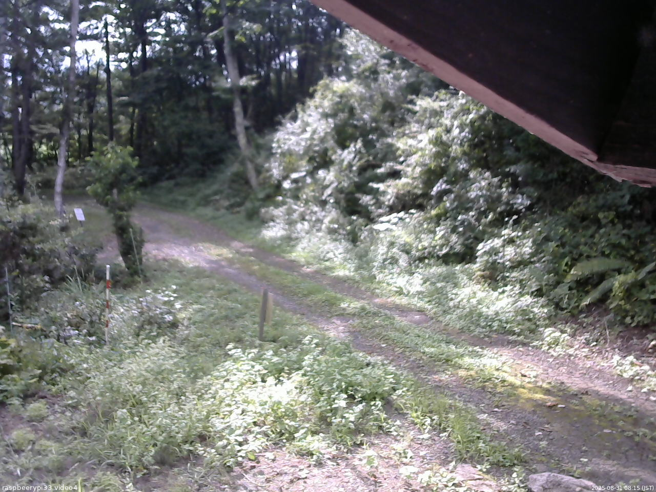 長野県菅平高原 ゆたか山荘 東側(坂下) 2025/08/31 08:15