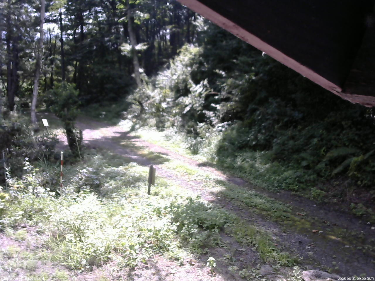 長野県菅平高原 ゆたか山荘 東側(坂下) 2025/08/31 09:00