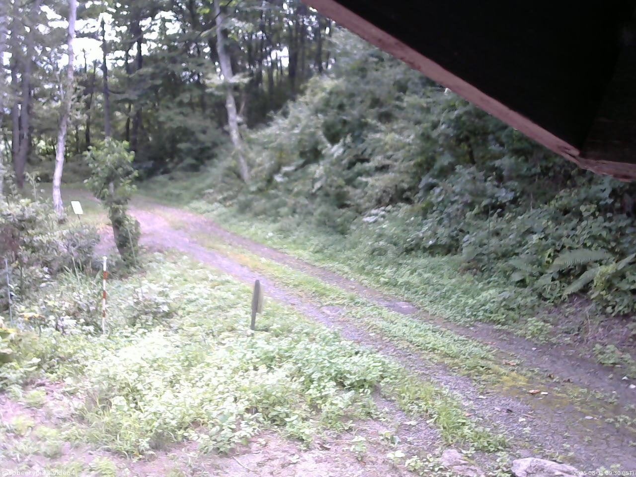 長野県菅平高原 ゆたか山荘 東側(坂下) 2025/08/31 09:30
