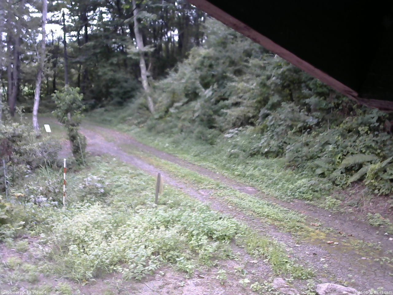 長野県菅平高原 ゆたか山荘 東側(坂下) 2025/08/31 09:45