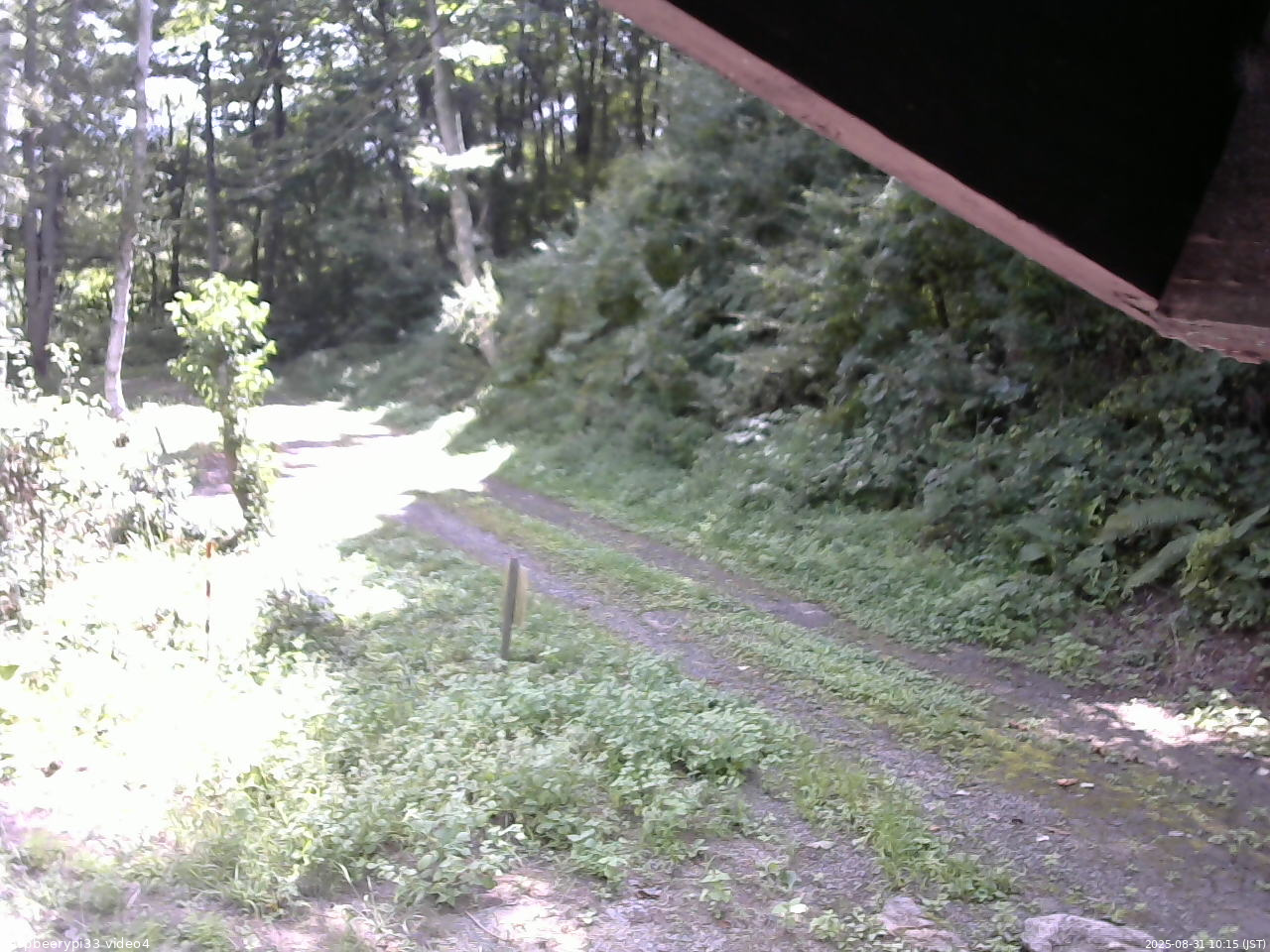 長野県菅平高原 ゆたか山荘 東側(坂下) 2025/08/31 10:15