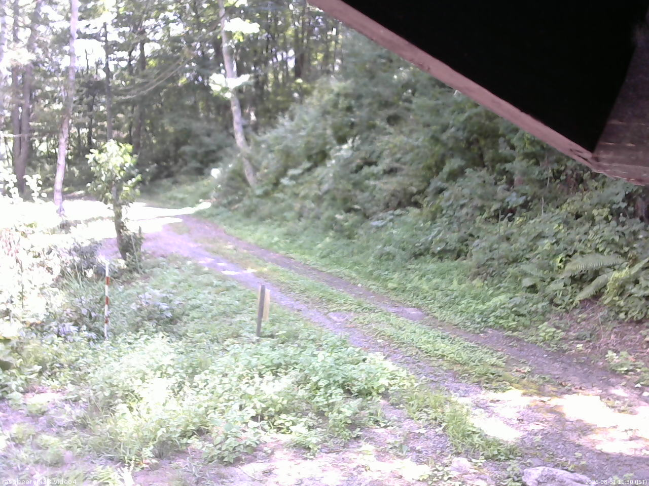 長野県菅平高原 ゆたか山荘 東側(坂下) 2025/08/31 11:30