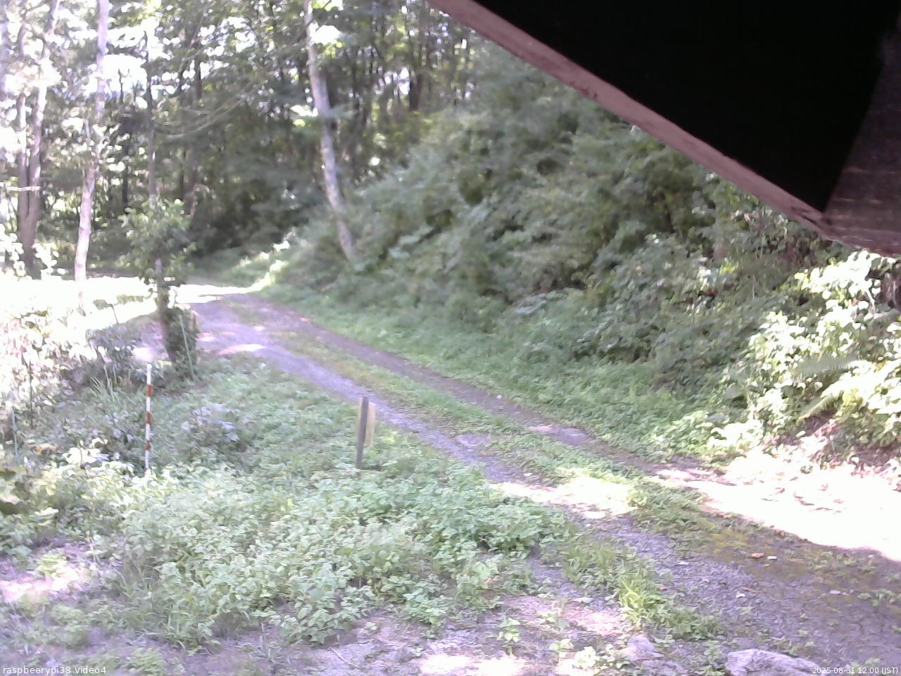 長野県菅平高原 ゆたか山荘 東側(坂下) 2025/08/31 12:00