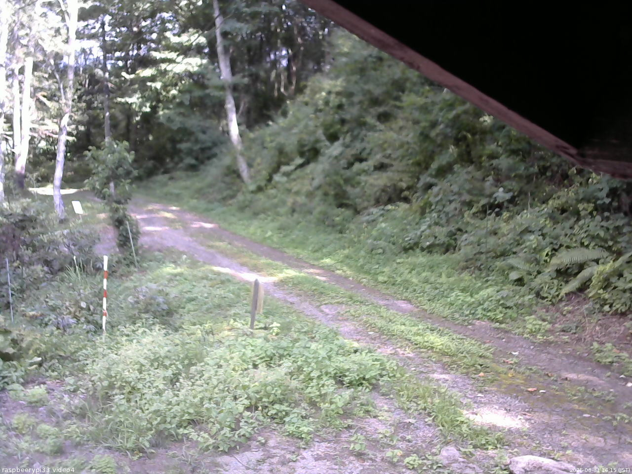 長野県菅平高原 ゆたか山荘 東側(坂下) 2025/08/31 14:15