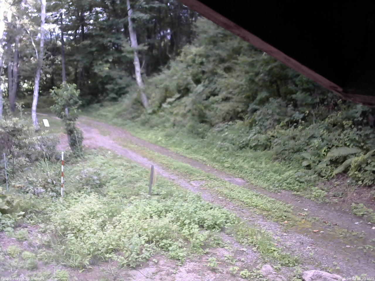 長野県菅平高原 ゆたか山荘 東側(坂下) 2025/08/31 15:30