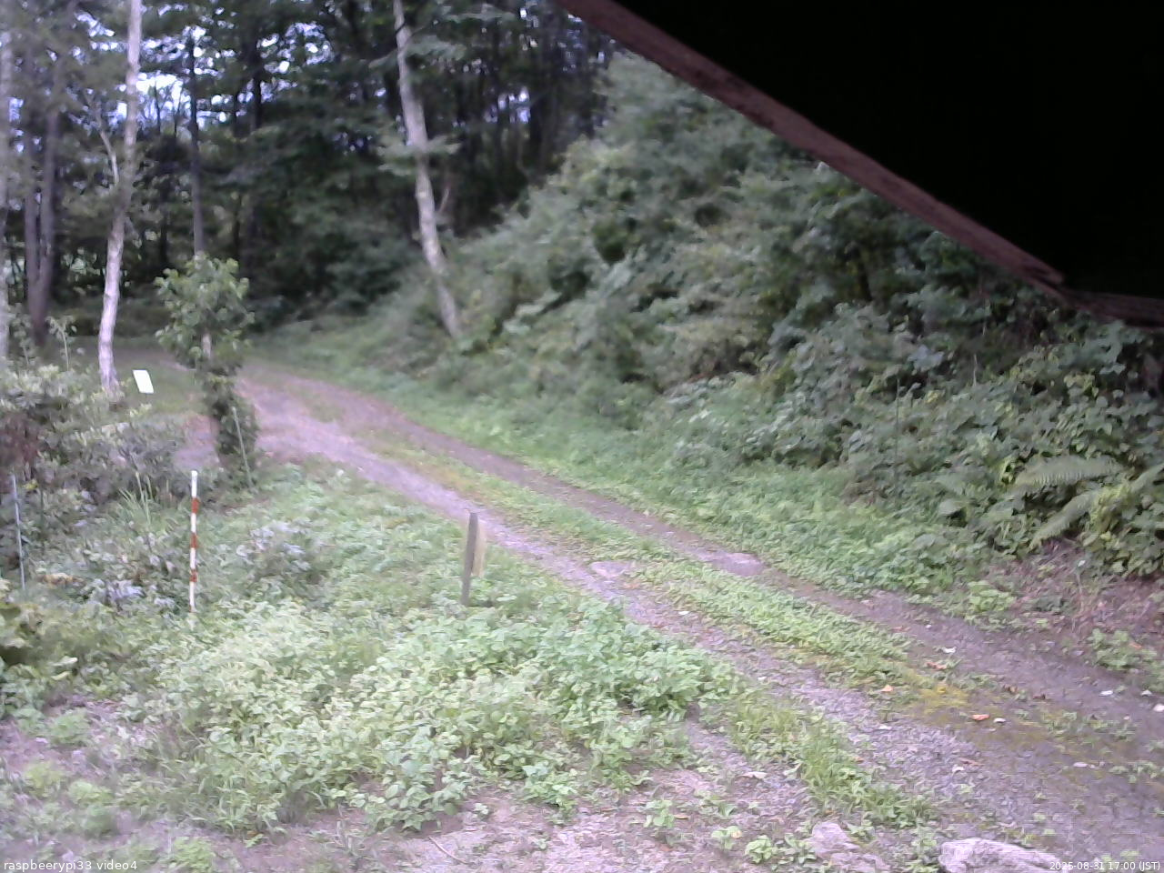 長野県菅平高原 ゆたか山荘 東側(坂下) 2025/08/31 17:00
