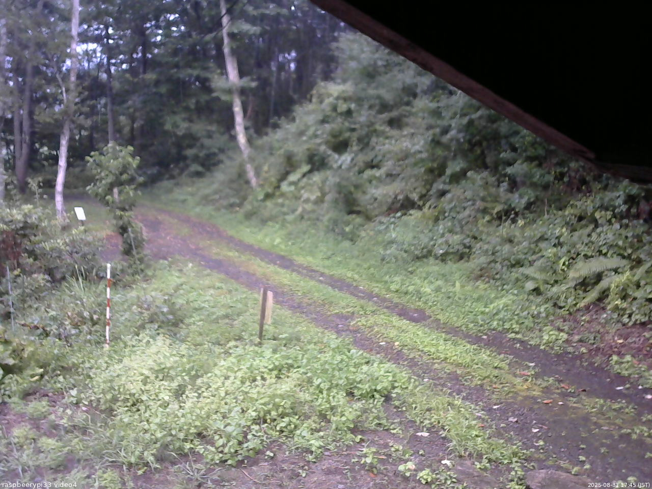 長野県菅平高原 ゆたか山荘 東側(坂下) 2025/08/31 17:45