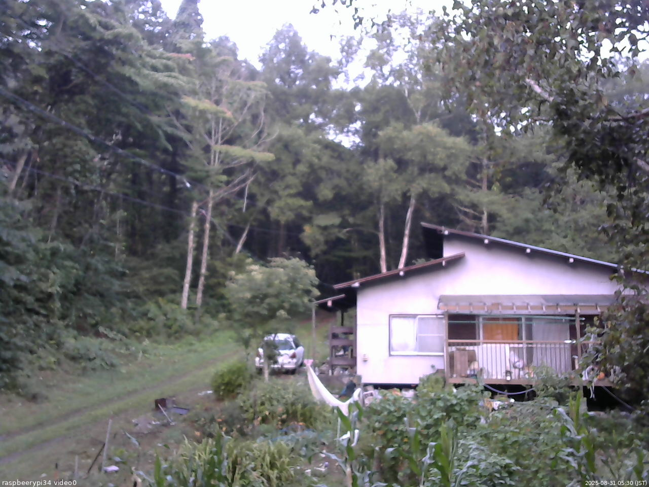長野県菅平高原 ゆたか山荘 西側(坂上) 2025/08/31 05:30