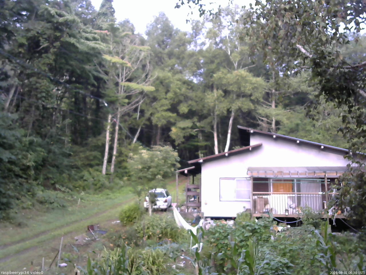 長野県菅平高原 ゆたか山荘 西側(坂上) 2025/08/31 06:30