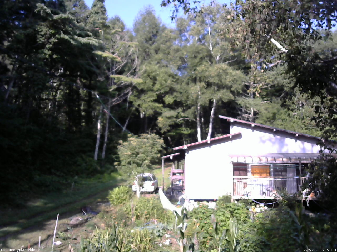 長野県菅平高原 ゆたか山荘 西側(坂上) 2025/08/31 07:15