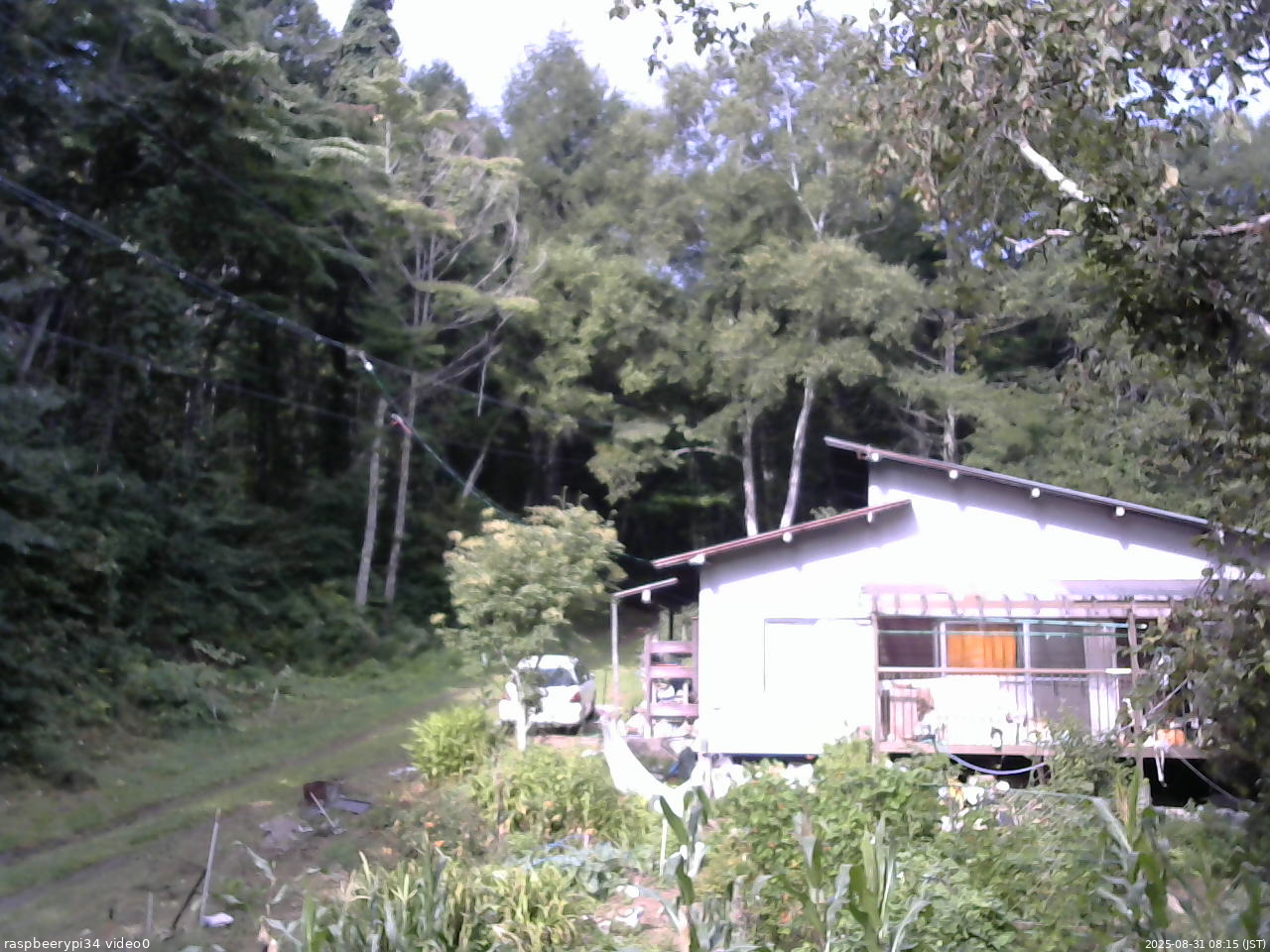 長野県菅平高原 ゆたか山荘 西側(坂上) 2025/08/31 08:15
