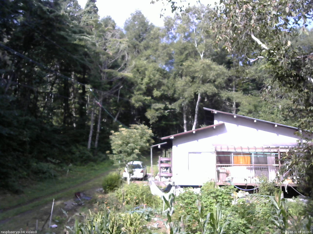 長野県菅平高原 ゆたか山荘 西側(坂上) 2025/08/31 08:30