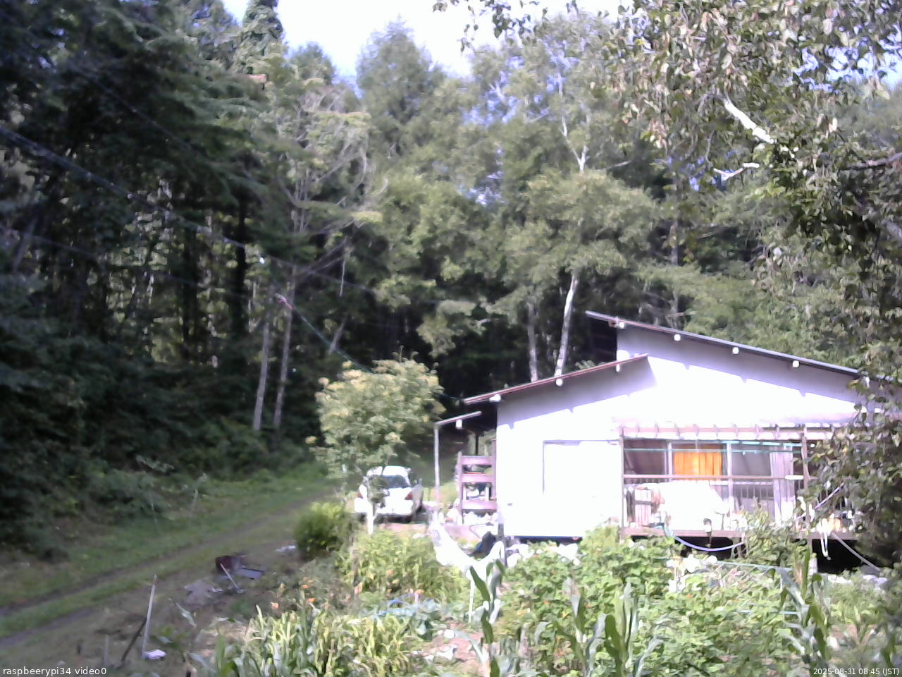 長野県菅平高原 ゆたか山荘 西側(坂上) 2025/08/31 08:45