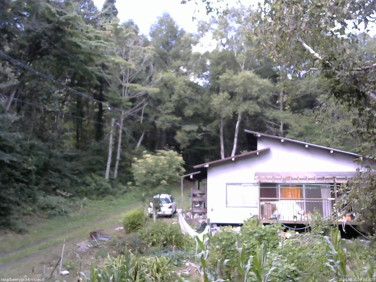 長野県菅平高原 ゆたか山荘 西側(坂上) 2025/08/31 09:30