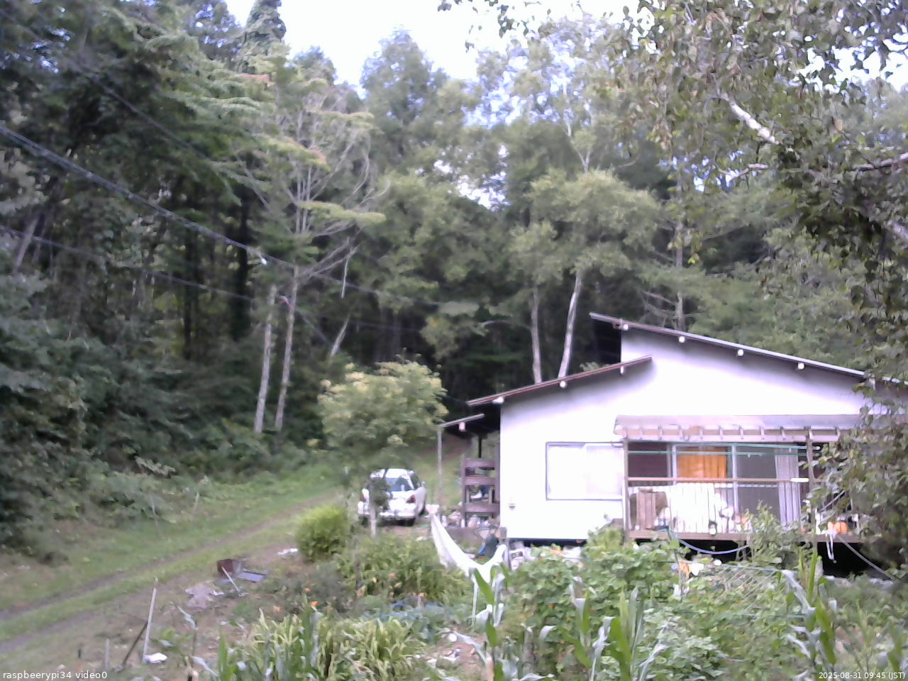 長野県菅平高原 ゆたか山荘 西側(坂上) 2025/08/31 09:45