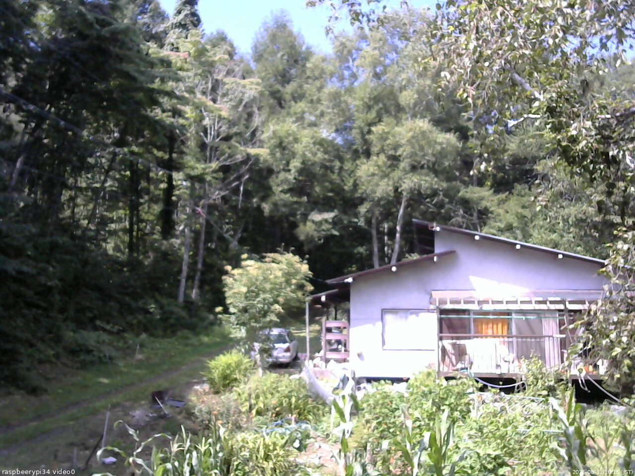 長野県菅平高原 ゆたか山荘 西側(坂上) 2025/08/31 10:15