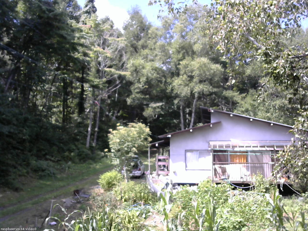 長野県菅平高原 ゆたか山荘 西側(坂上) 2025/08/31 10:30