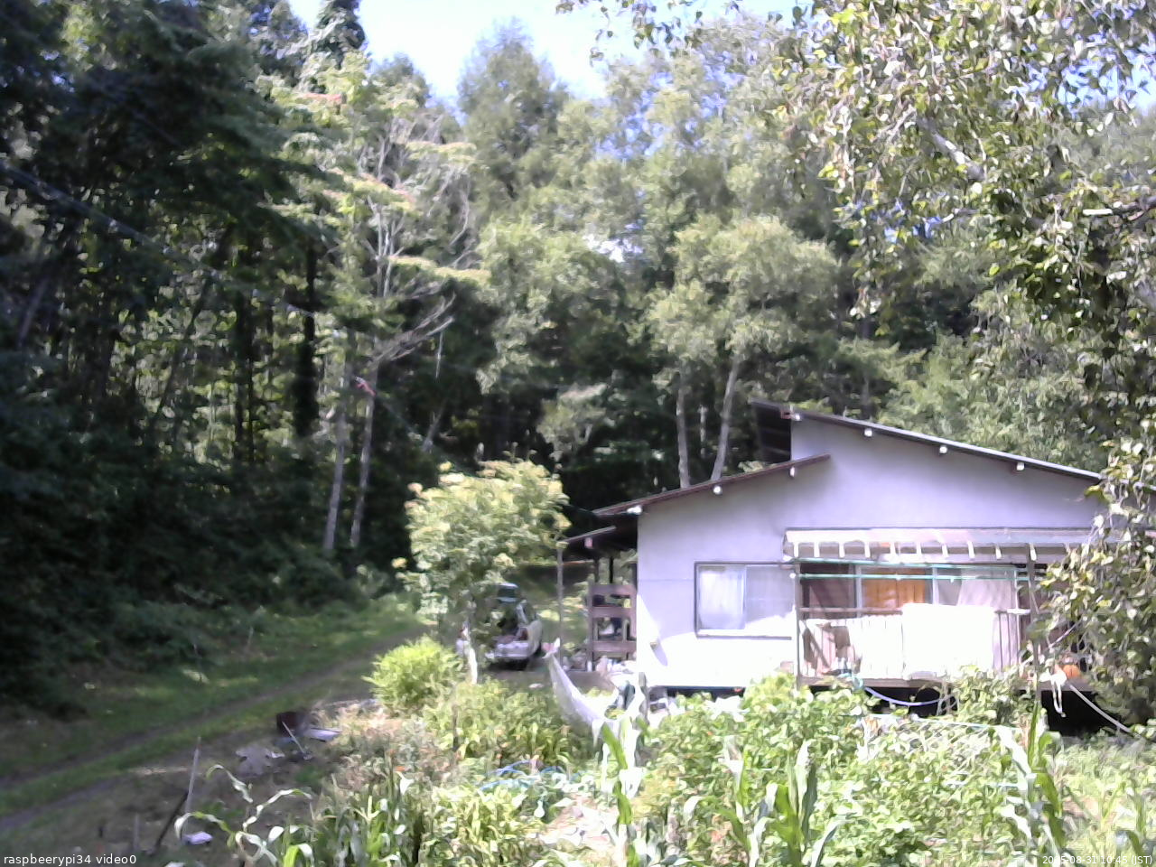 長野県菅平高原 ゆたか山荘 西側(坂上) 2025/08/31 10:45