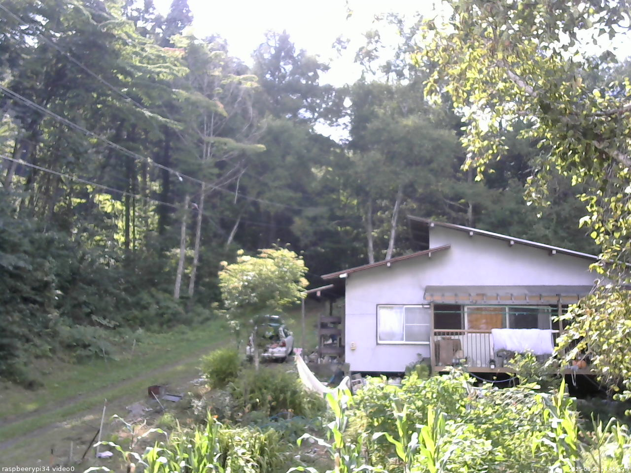 長野県菅平高原 ゆたか山荘 西側(坂上) 2025/08/31 14:45